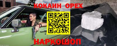гидра Гусев