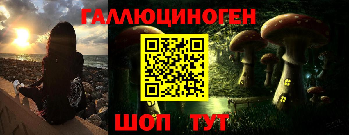 Галлюциногенные грибы Psilocybine cubensis Нижний Тагил