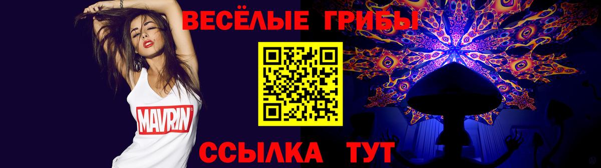 Псилоцибиновые грибы Magic Shrooms  Вход с VPN  Нижний Тагил  Псилоцибиновые грибы GOLDEN TEACHER 